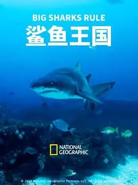 《鲨鱼王国》：深海霸主统治下的惊险冒险