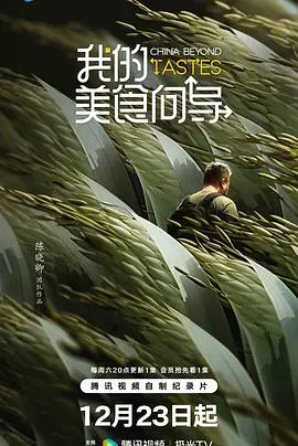 《我的美食向导》影评：舌尖上的治愈之旅与人文探索