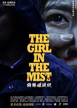 《特殊嫌疑犯》：迷雾重重的犯罪谜局，谁才是真正的幕后黑手？