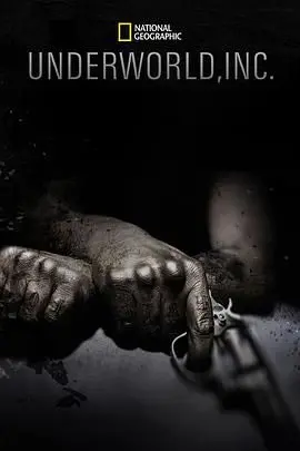 《黑市大企业》第一季：揭秘黑暗交易链，直击人性的贪婪与绝望挣扎