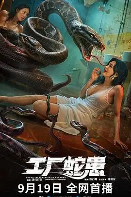 工厂蛇患：一部惊心动魄的蛇灾恐怖片，揭秘工厂中的神秘入侵