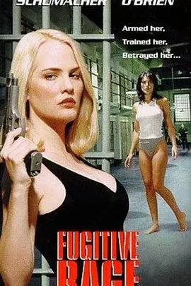 《执法精英》：硬汉警探对抗黑恶势力，正义之战燃爆银幕！