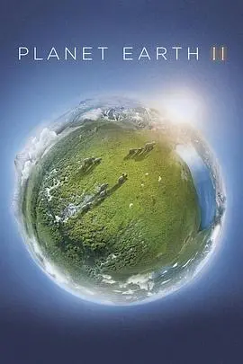 《地球脉动 第二季》：重返自然奇境，探索生命脉动与生存智慧，震撼视听盛宴！
